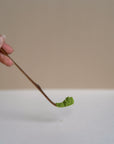 Matcha Scoop