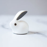 Rabbit Tea Pet